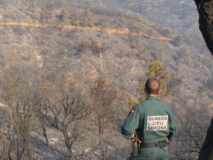 Un agente, en una zona de monte afectada por el fuego. 