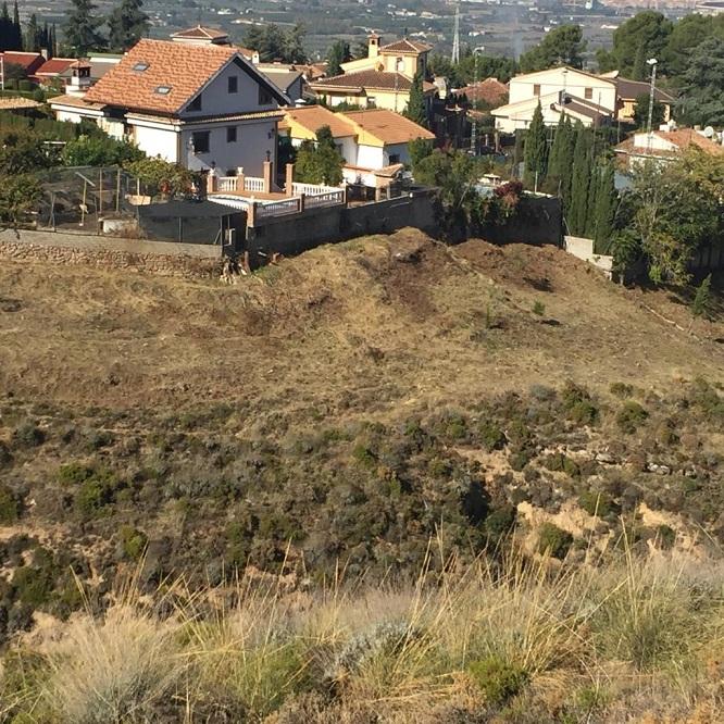 Cortafuegos en el Barrio de Monachil. 