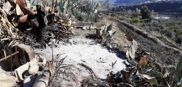 El incendio quemó 6.000 metros cuadrados de vegetación.