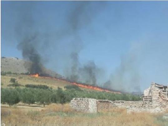 El fuego calcinó siete hectáreas. 