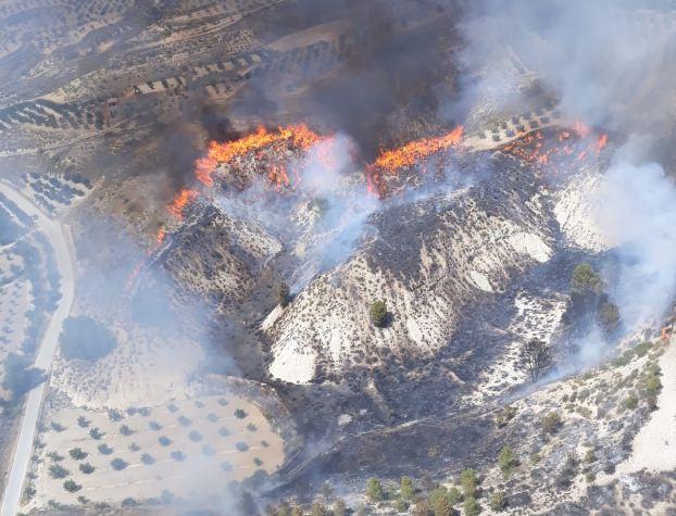 En la imagen aérea del fuego se aprecia la virulencia de las llamas.