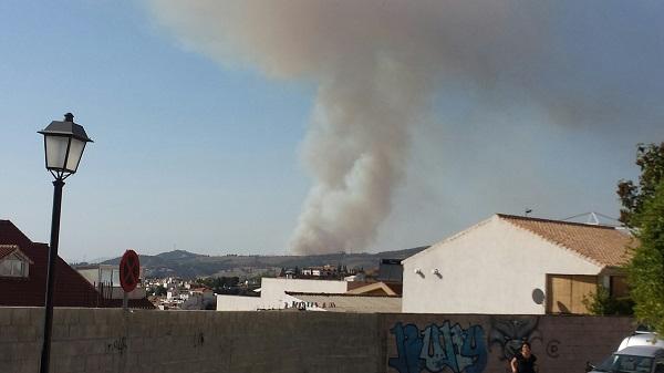 El humo del incendio era visible desde distintos puntos del Área Metropolitana.