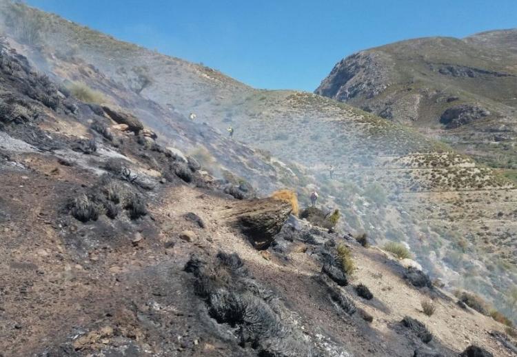 Trabajos de extinción del fuego, ya sin llamas.