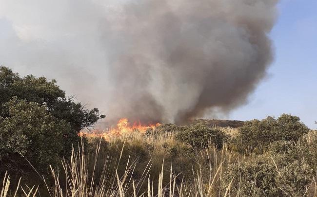 Foto tomada por el Infoca a las 19.51 horas. 