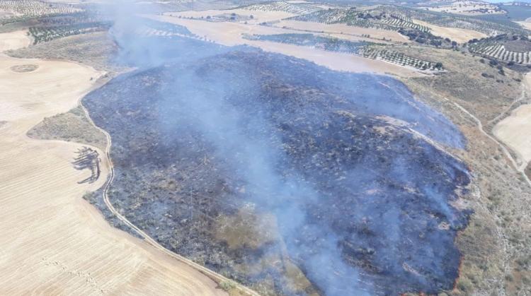 Zona afectada por el fuego, en el paraje Loma Larga Zona afectada por el fuego, en el paraje Loma Larga.