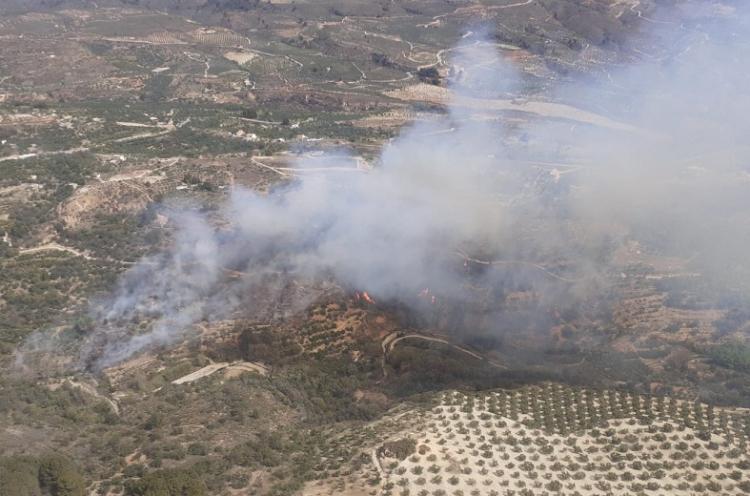 Vista del incendio en Albuñuelas.