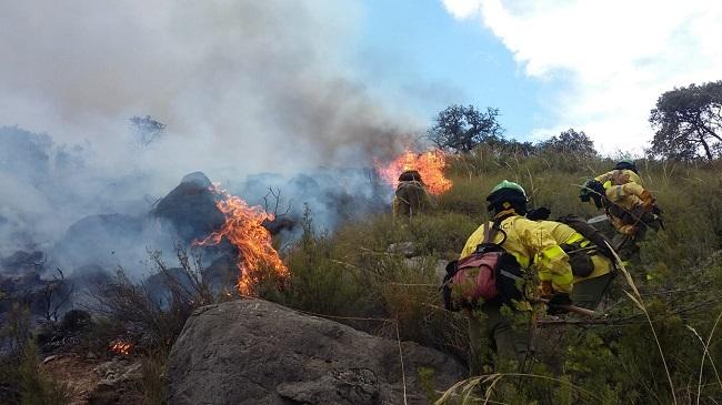 El paraje en el que se ha declarado el incendio es el Cerro del Asno.