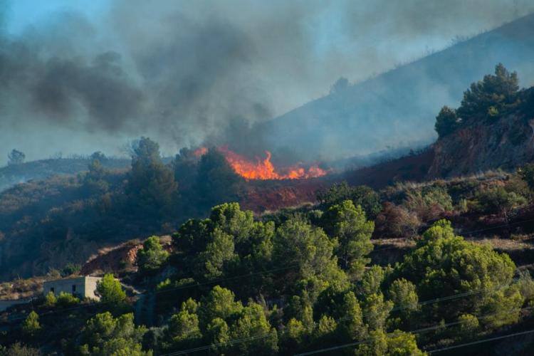 Detalle de la virulencia que llegó a alcanzar el fuego.