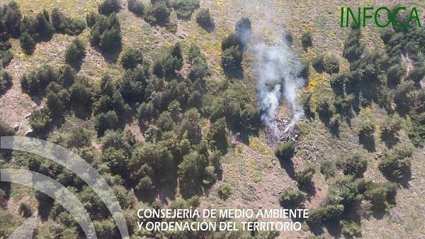 El incendio se ha declarado poco antes de las 17.30 horas.