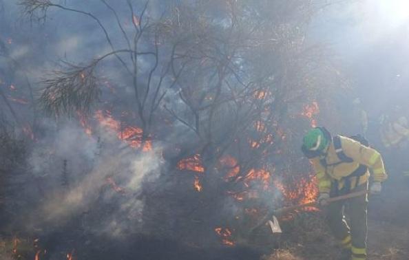 Bomberos forestales trabajan contra las llamas en el incendio de Pinos Genil.
