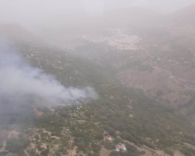 Imagen de la zona en la que se ha declarado el incendio.