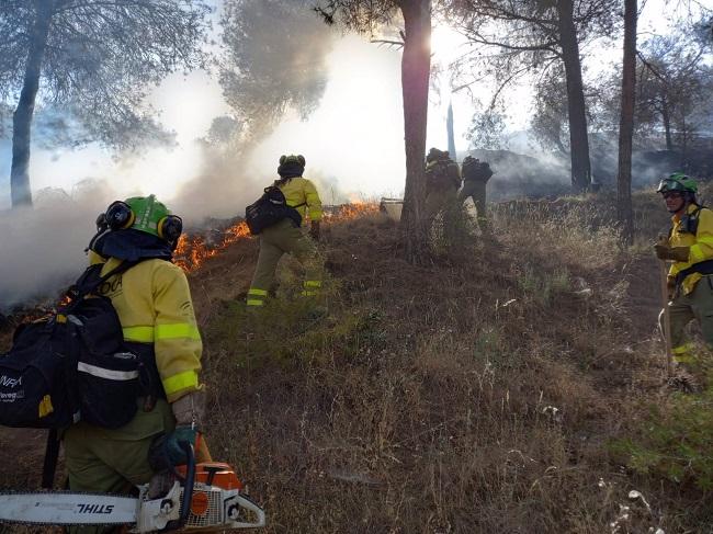 Efectivos del Plan Infoca trabajan para sofocar el incendio de San Miguel, en Granada, en imagen de archivo.