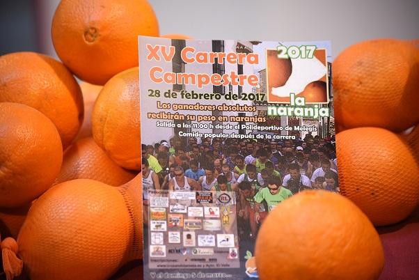 Las naranjas, emblema del Valle de Lecrín. 