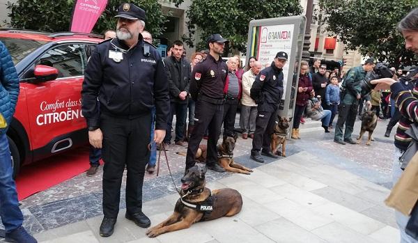 Las jornadas han arrancado en la Plaza del Carmen, donde se han reunido los representantes de las unidades caninas participantes.