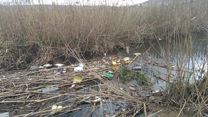 Basura en el humedal de Padul.