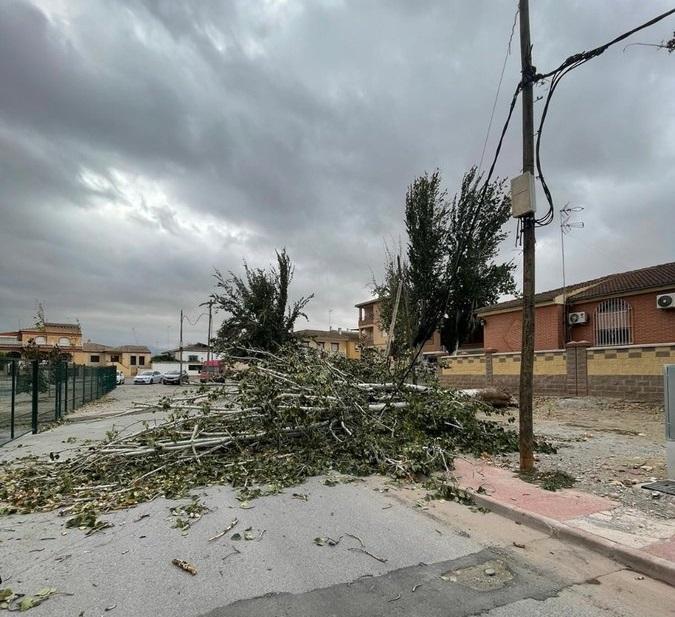 Caída de un árbol en Las Gabias.