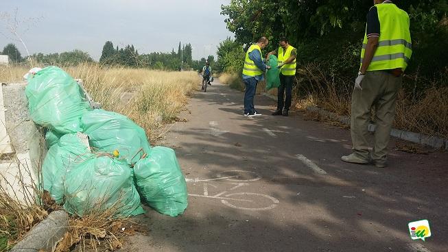 Bolsas de basura recogida en el carril bici. 