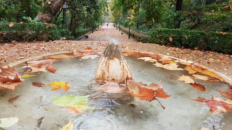 Fuente del Pimiento, el bosque de la Alhambra, este jueves. 