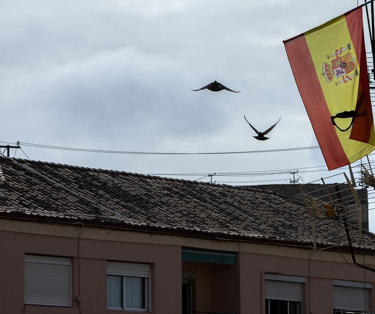 Bandera de España con un lazo negro en señal de luto.