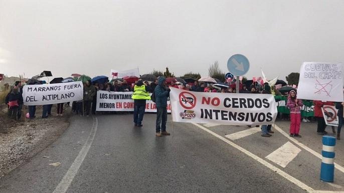 Los manifestantes, en la carretera. 