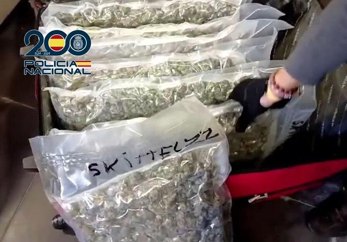 Bolsas con marihuana envasada al vacío encontradas en uno de los domicilios.