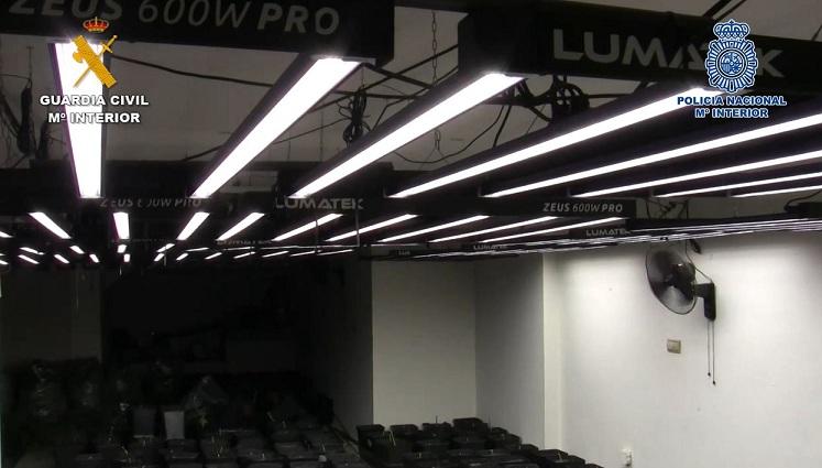 Las plantaciones usaban estructuras de iluminación led.