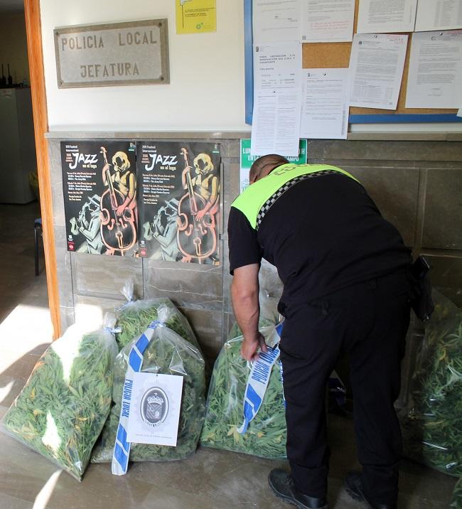 La Policía Local ha llevado la droga a la Comandancia de la Guardia Civil para su destrucción.