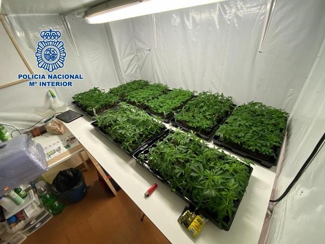 Parte de la droga incautada en esta operación. Parte de la droga incautada en esta operación.