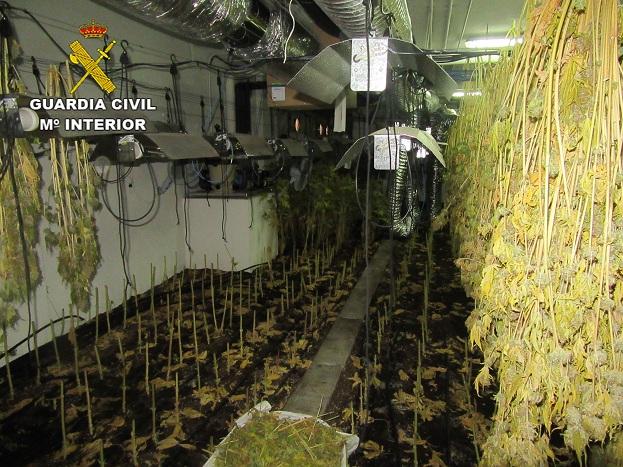 Una de las dependencias con marihuana Una de las dependencias con marihuana.