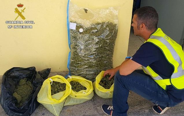 Marihuana requisada en Huétor Vega. 