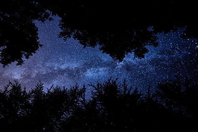 'Mariposa Estelar', foto ganadora 'Mariposa Estelar', foto ganadora.