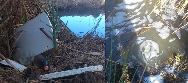 Botellas, escombros y espuma en el agua de la laguna de Padul. 