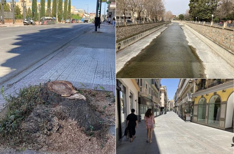 Árboles talados, ríos de hormigón y calles abrasadoras hacen de Granada una ciudad muy poco saludable. 