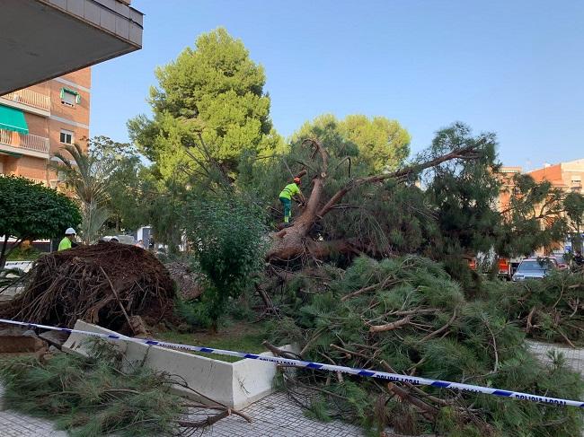 Operarios municipales y bomberos trabajando en la retirada del árbol.