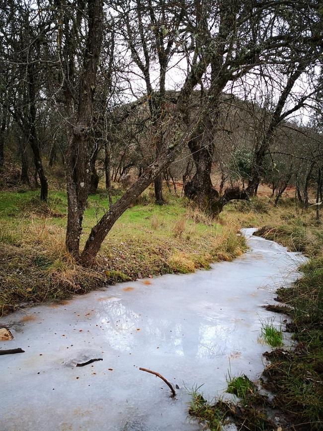 El río Fardes, helado, en Prado Negro. El río Fardes, helado, en Prado Negro.