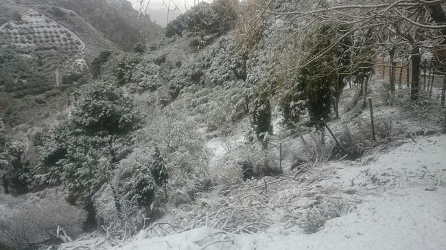 Nieve en Peña Escrita, Almuñécar. Nieve en Peña Escrita, Almuñécar.