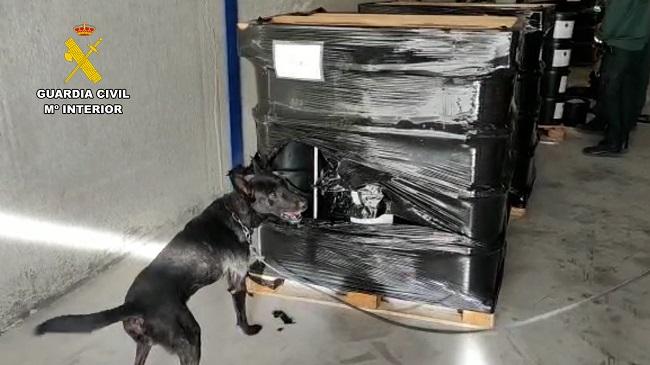 Un perro antidroga marcó los palés que contenían droga.