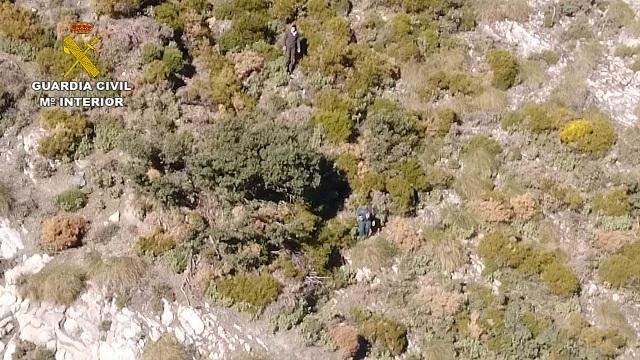Los cazadores, en una imagen tomada por el helicóptero Los cazadores, en una imagen tomada por el helicóptero.