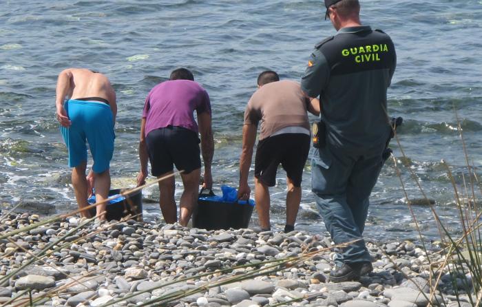 Las ortiguillas aún estaban vivas y fueron devueltas al mar.