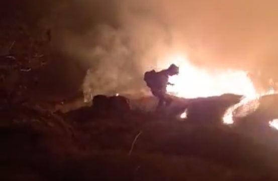 Un bombero forestal, en labores de detención del fuego.