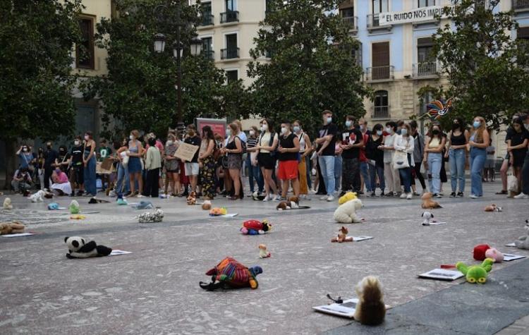 El suelo de la Plaza del Carmen se llenó de peluches. 