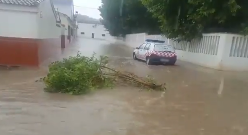 Rama arrastrada por el agua en una calle de Peñuelas.