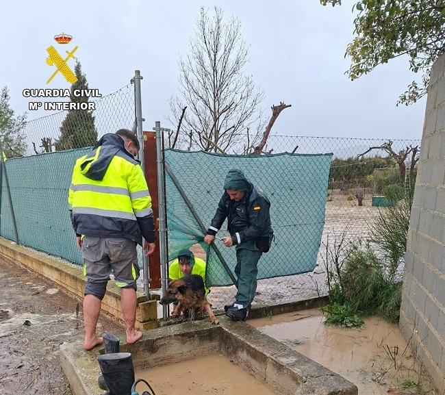 Rescate de un perro en una finca inundada de Huétor Tájar. 