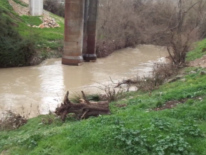 Aspecto que presentaban este lunes los pilares del viaducto de Puente Quebrada, en Loja.