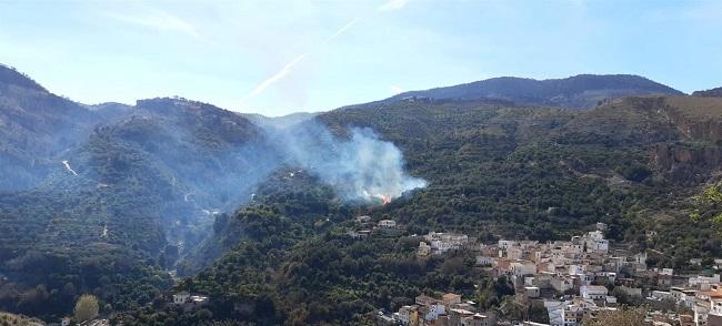 Incendio forestal en El Pinar.