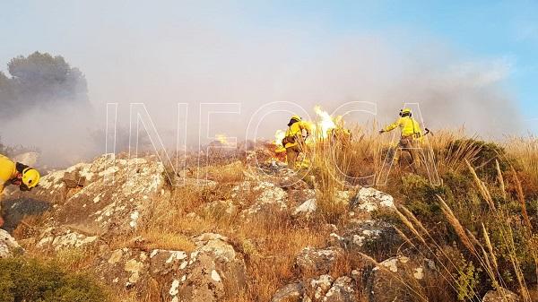 Imagen de los bomberos forestales del Infoca luchando contra el fuego en Pinos Puente.