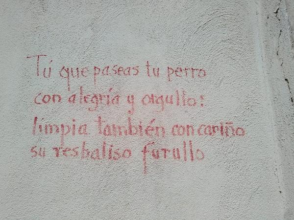 Pintadas en el Albaicín denunciadas por los vecinos.