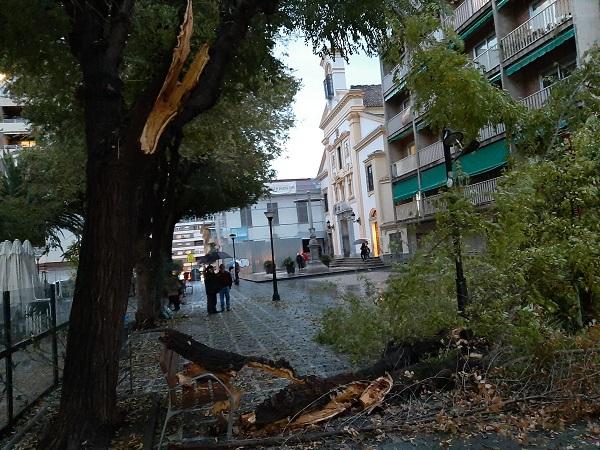 La plaza ha quedado acordonada. La plaza ha quedado acordonada.