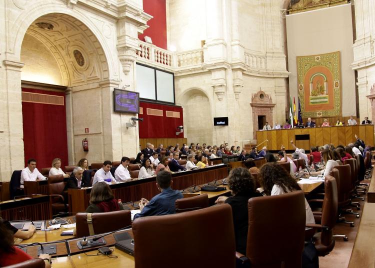 Una de las votaciones en el pleno de este jueves.