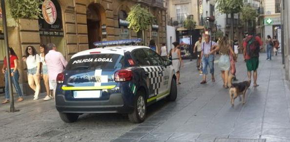 Vehículo policial a la entrada de Mesones. Vehículo policial a la entrada de Mesones.